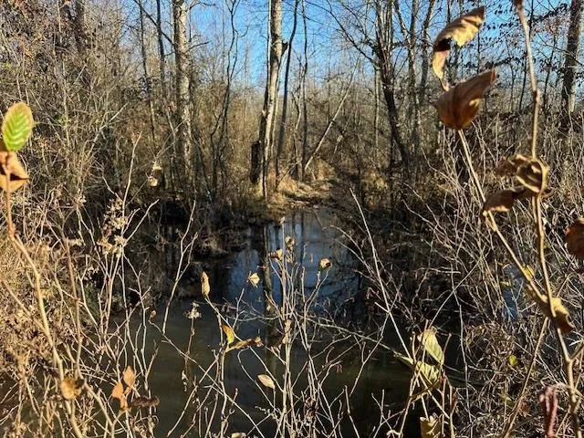 0 Sawyers Mill Rd Camden, TN 38320