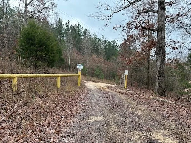 0 Sawyers Mill Rd Camden, TN 38320