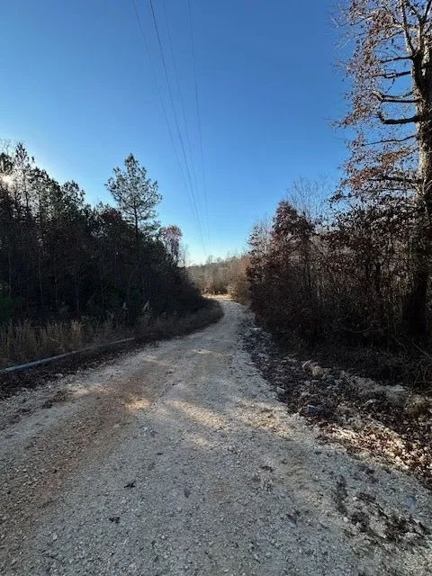 0 Sawyers Mill Rd Camden, TN 38320