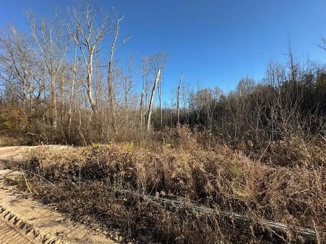 0 Sawyers Mill Rd Camden, TN 38320