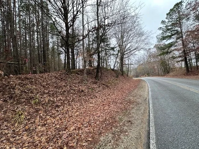 0 Sawyers Mill Rd Camden, TN 38320