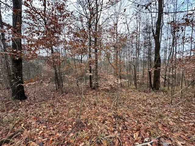 0 Sawyers Mill Rd Camden, TN 38320