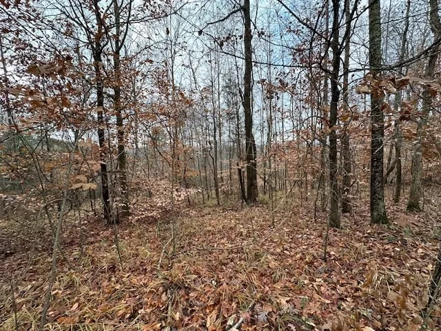 0 Sawyers Mill Rd Camden, TN 38320