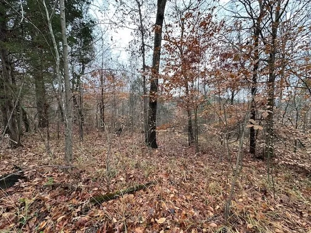 0 Sawyers Mill Rd Camden, TN 38320