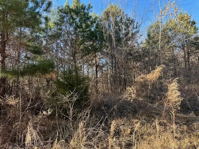 0 Sawyers Mill Rd Camden, TN 38320