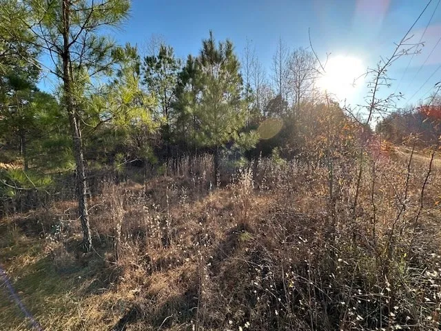 0 Sawyers Mill Rd Camden, TN 38320