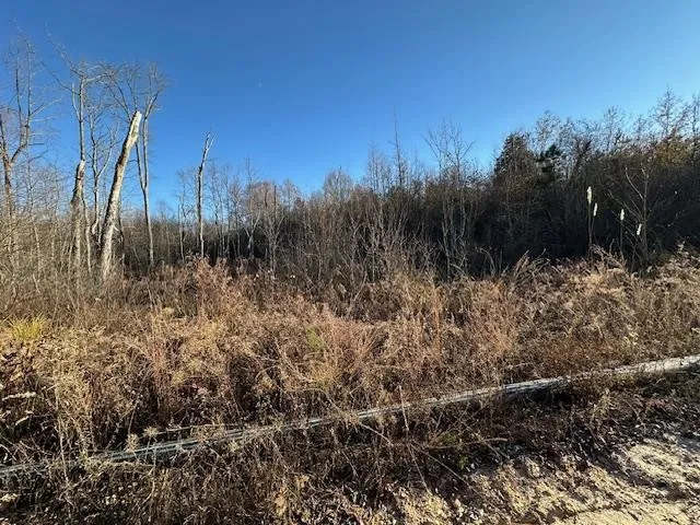 0 Sawyers Mill Rd Camden, TN 38320