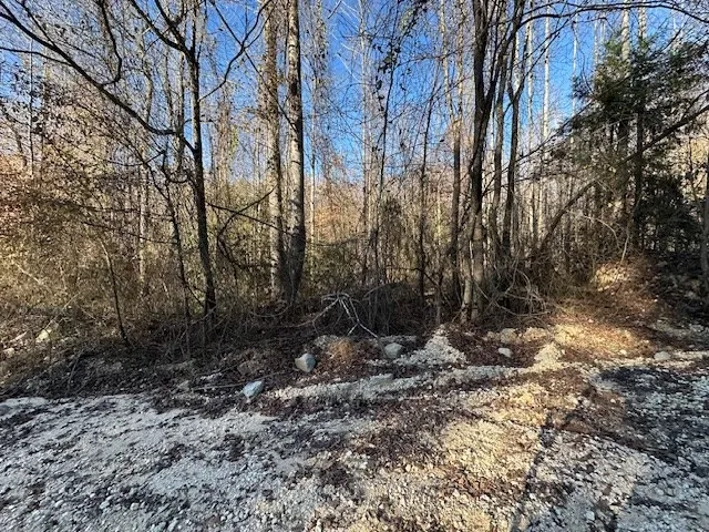 0 Sawyers Mill Rd Camden, TN 38320