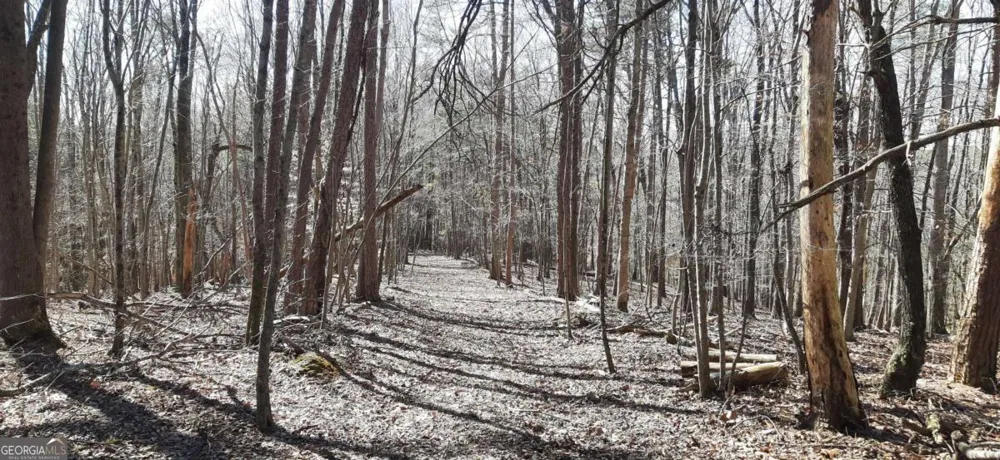 11953 Henderson Mountain RD Fairmount, GA 30139