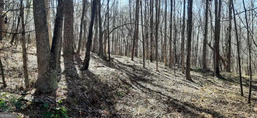 11953 Henderson Mountain RD Fairmount, GA 30139