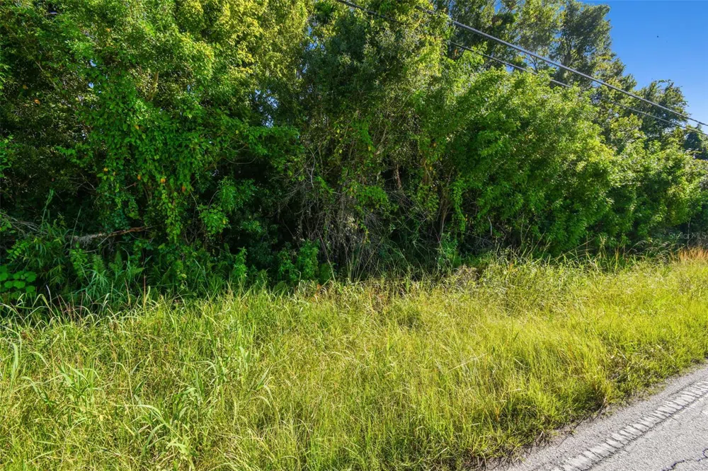 11632 BILL TUCKER ROAD Wimauma, FL 33598