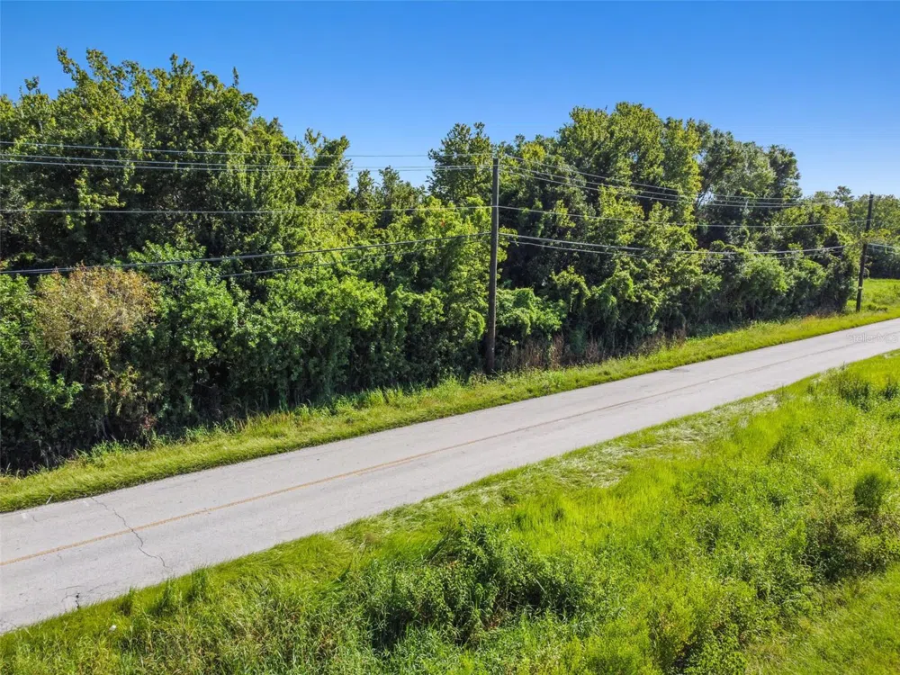 11632 BILL TUCKER ROAD Wimauma, FL 33598