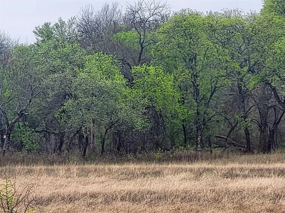 Hill Creek Lane Hillsboro, TX 76645
