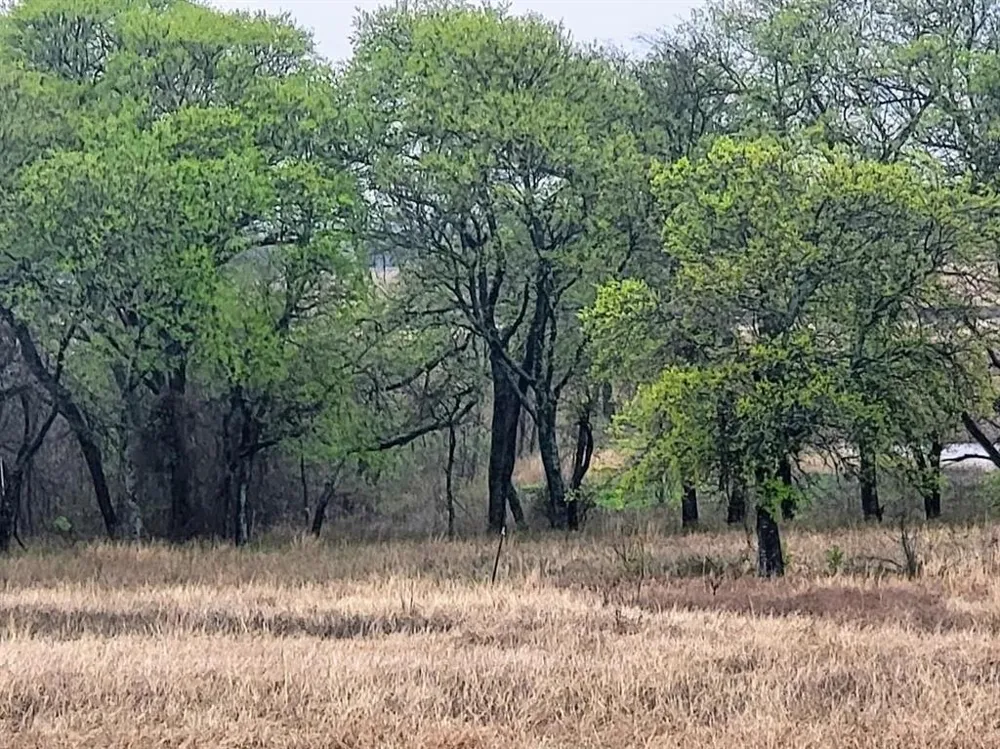 Hill Creek Lane Hillsboro, TX 76645