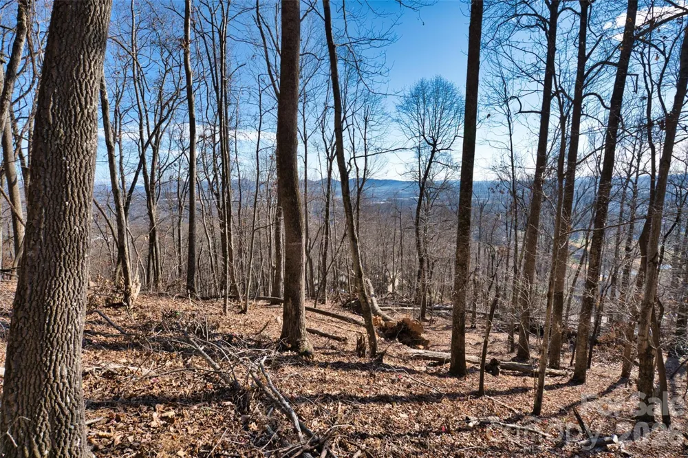 9999 Walnut Drive #166 Mills River, NC 28759