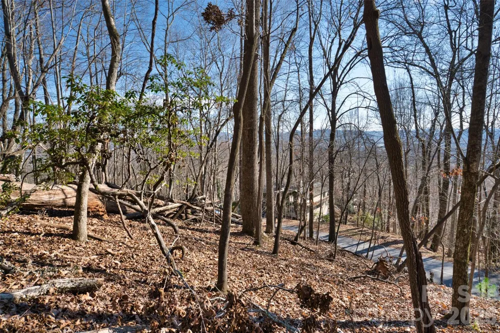 9999 Walnut Drive #166 Mills River, NC 28759