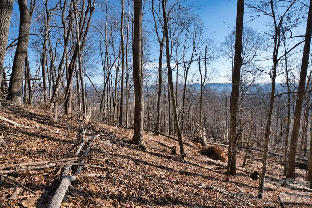 9999 Walnut Drive #166 Mills River, NC 28759