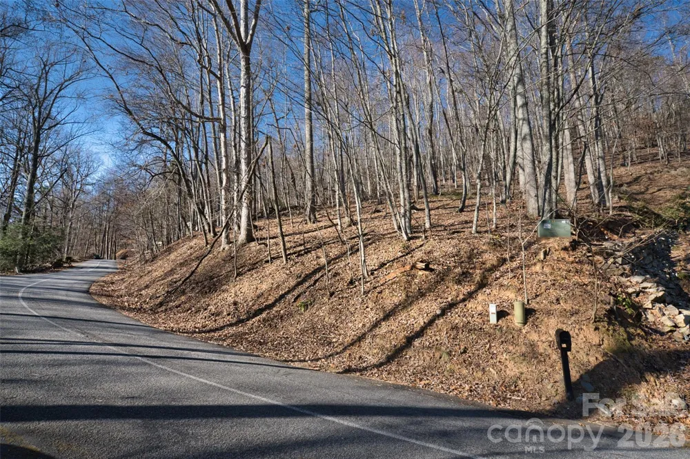9999 Walnut Drive #166 Mills River, NC 28759