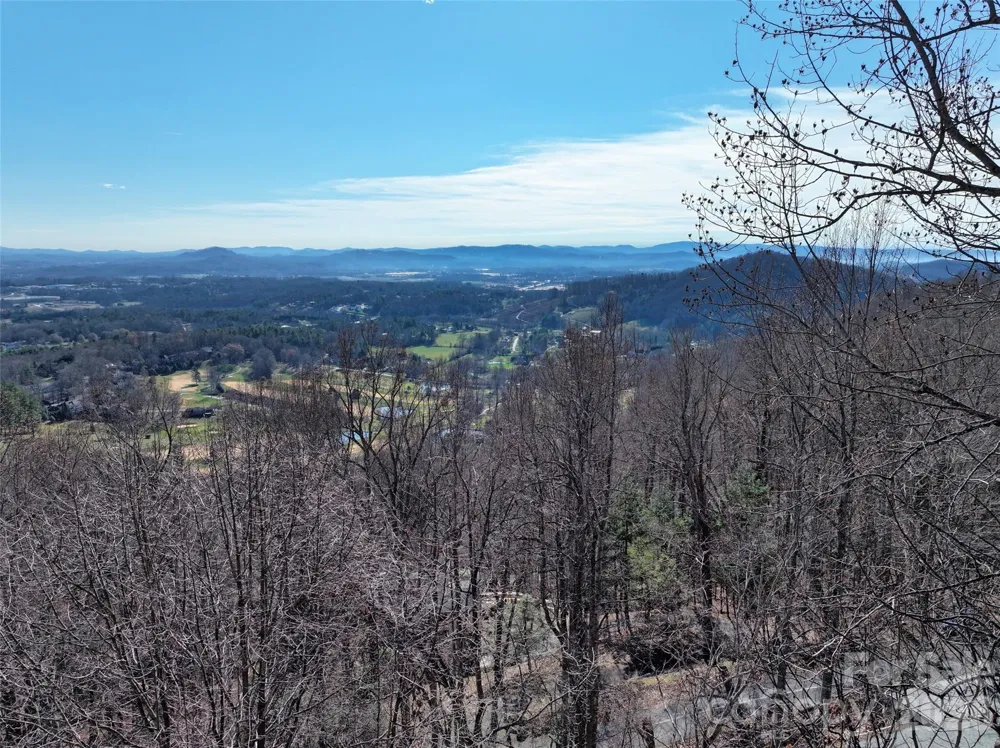 9999 Walnut Drive #166 Mills River, NC 28759
