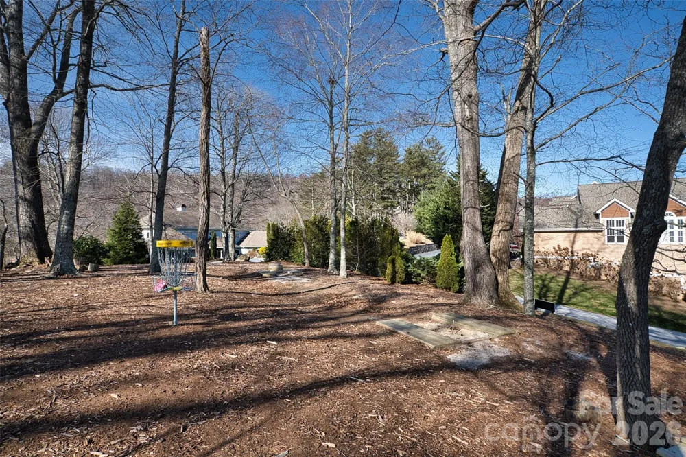 9999 Walnut Drive #166 Mills River, NC 28759