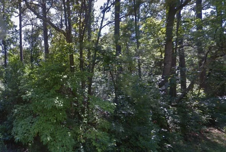 306 Deason Circle Colmesneil, TX 75938