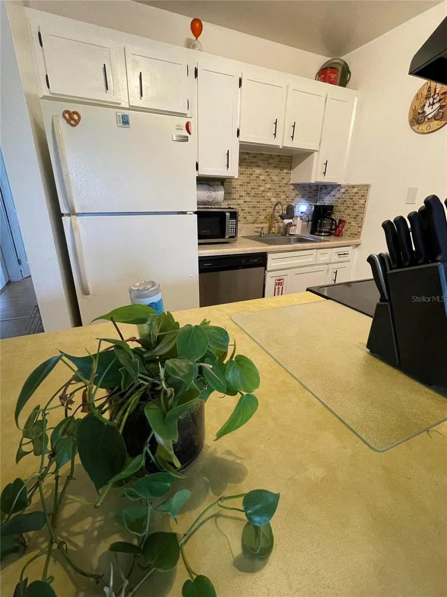 239 S MCMULLEN BOOTH ROAD #38 Clearwater, FL 33759