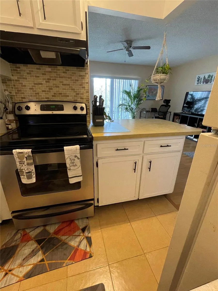 239 S MCMULLEN BOOTH ROAD #38 Clearwater, FL 33759
