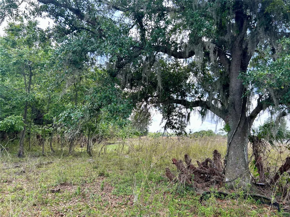 SR-64 Zolfo Springs, FL 33890