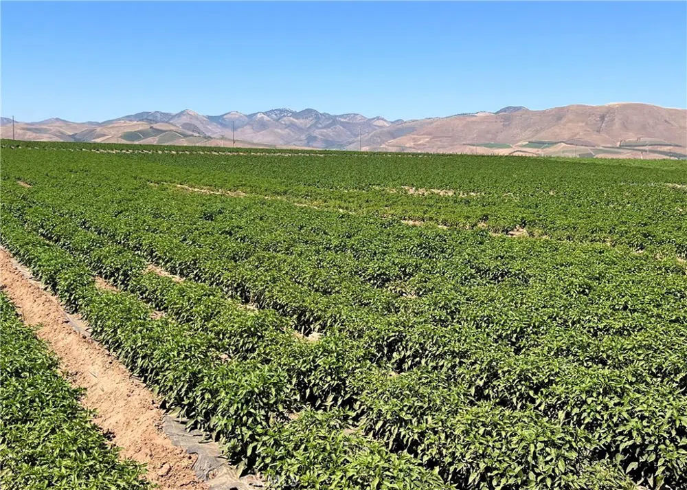 3480 Orcutt Garey Road Santa Maria, CA 93454