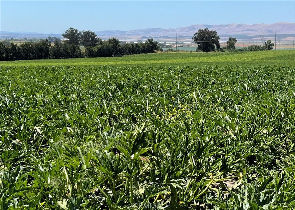 3480 Orcutt Garey Road Santa Maria, CA 93454