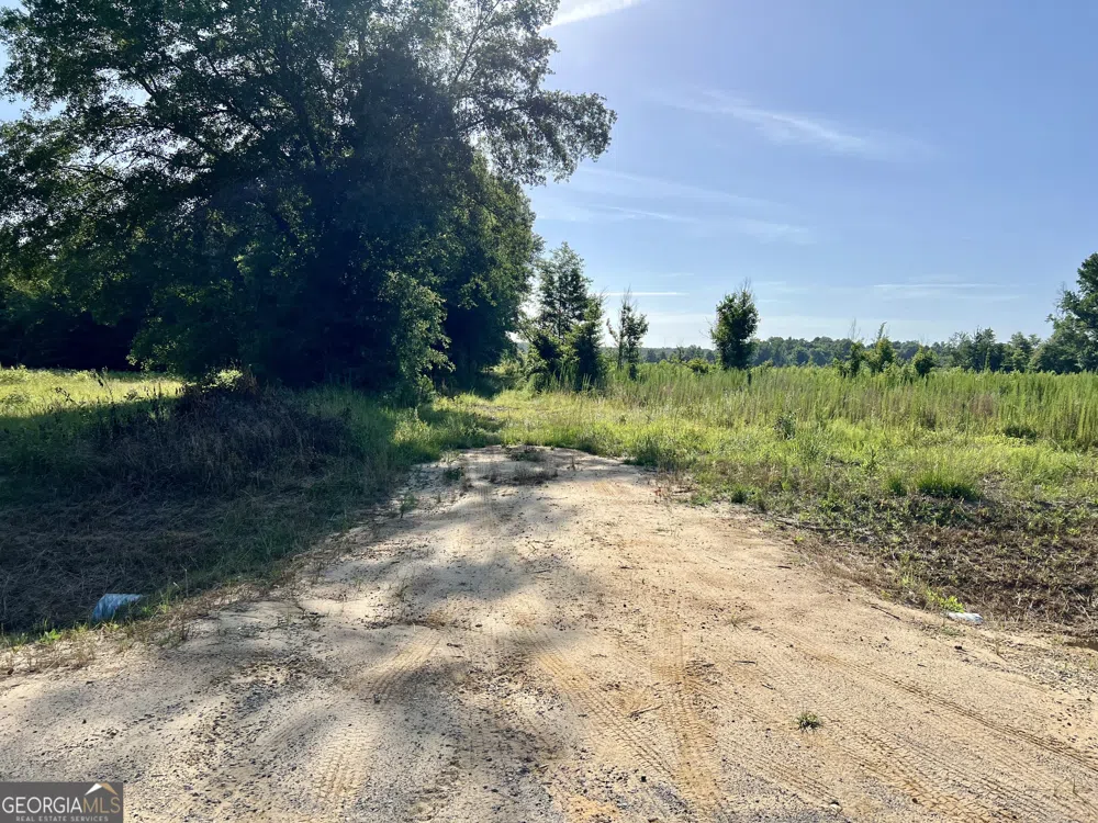 0 Tucker Grove Church RD Wrightsville, GA 31096