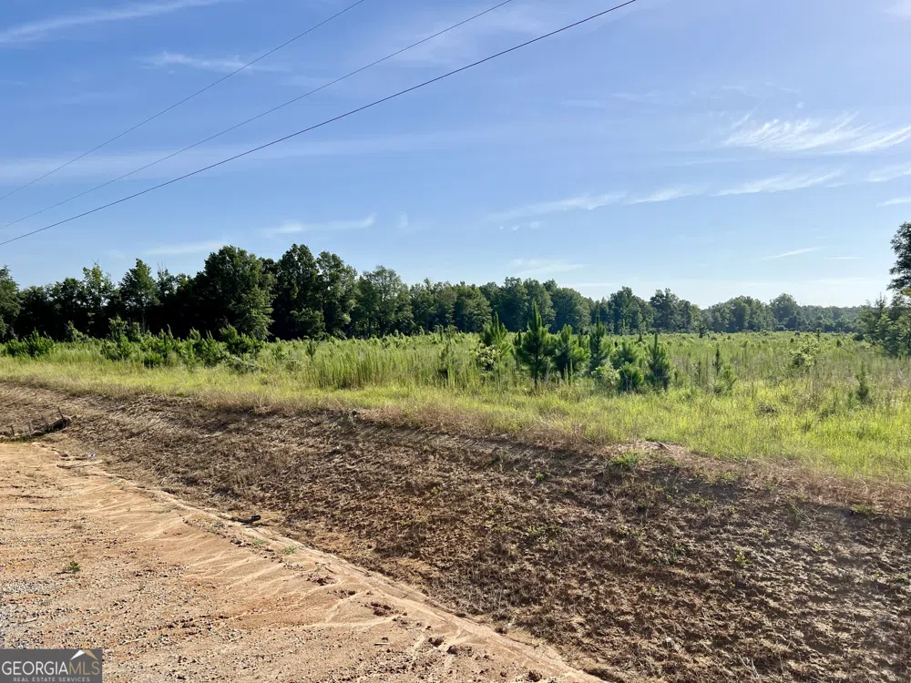 0 Tucker Grove Church RD Wrightsville, GA 31096