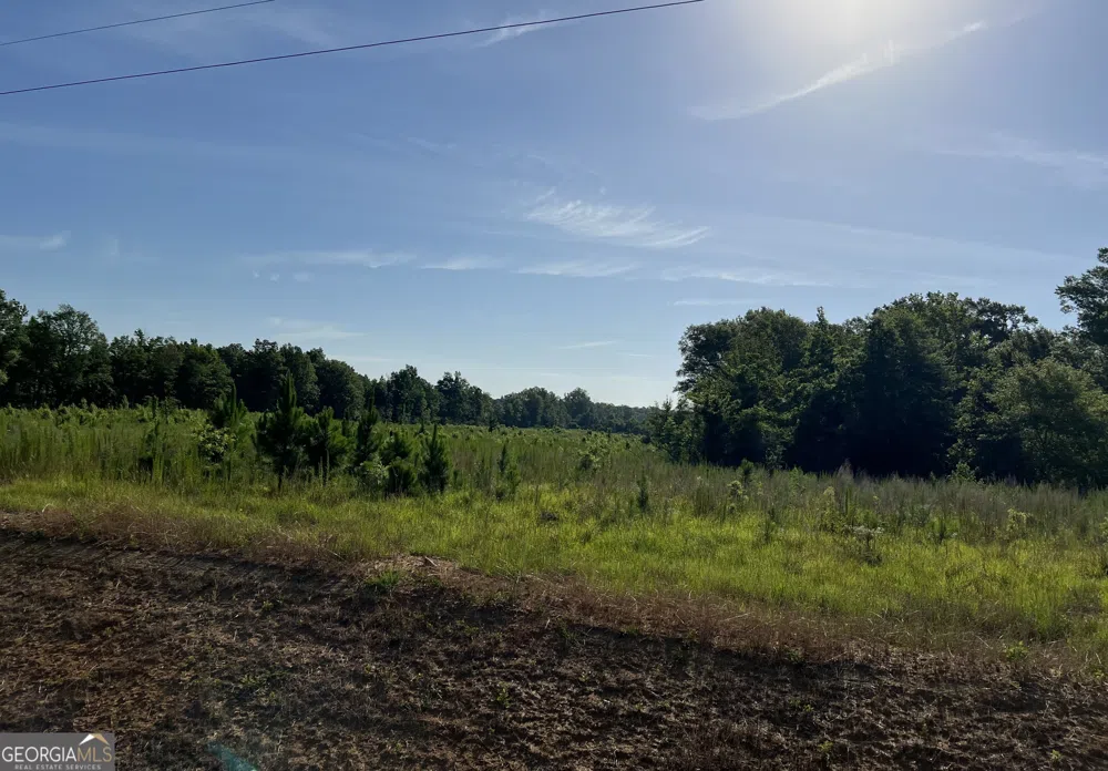 0 Tucker Grove Church RD Wrightsville, GA 31096