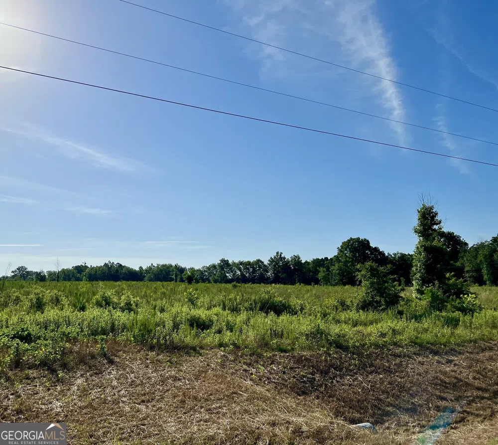 0 Tucker Grove Church RD Wrightsville, GA 31096