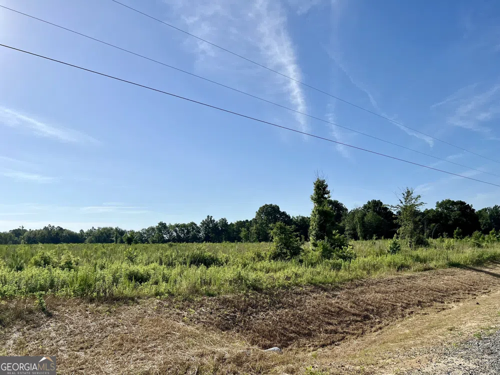 0 Tucker Grove Church RD Wrightsville, GA 31096