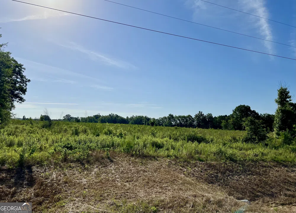 0 Tucker Grove Church RD Wrightsville, GA 31096