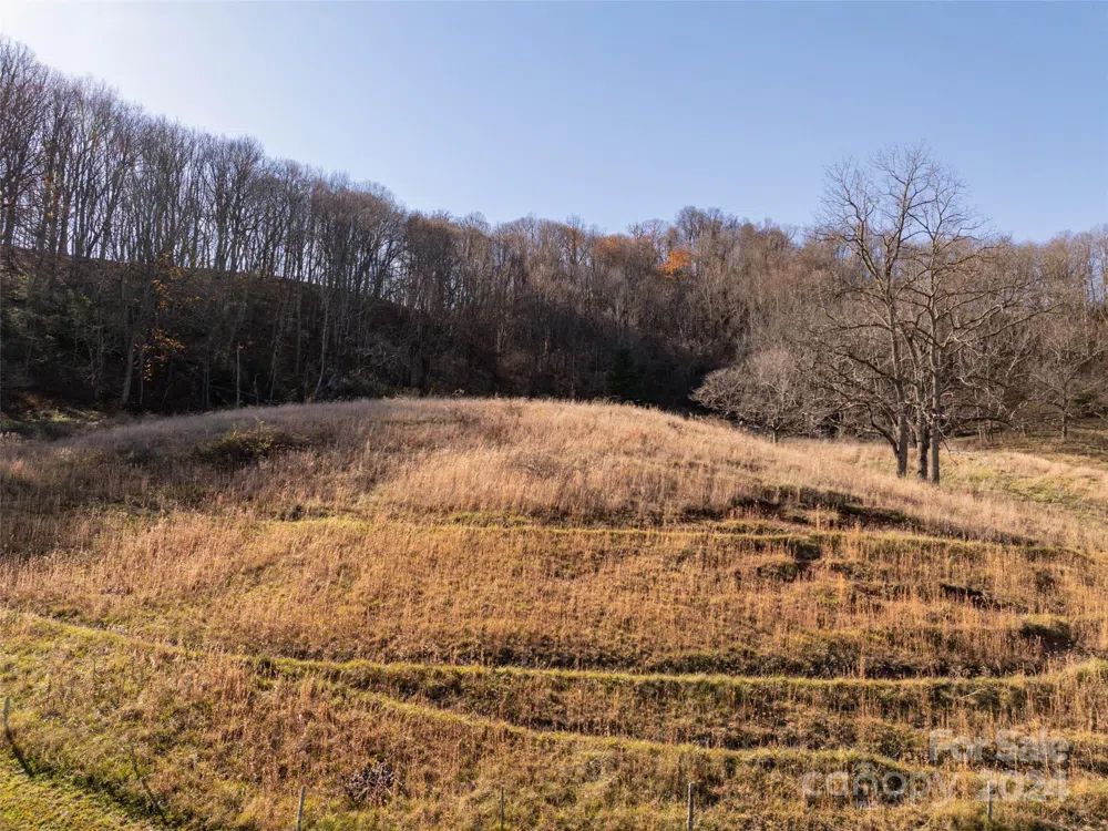 TBD Belmont Drive Clyde, NC 28721