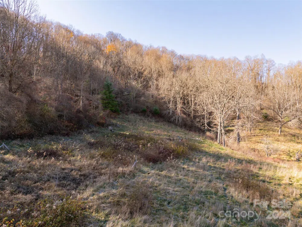 TBD Belmont Drive Clyde, NC 28721