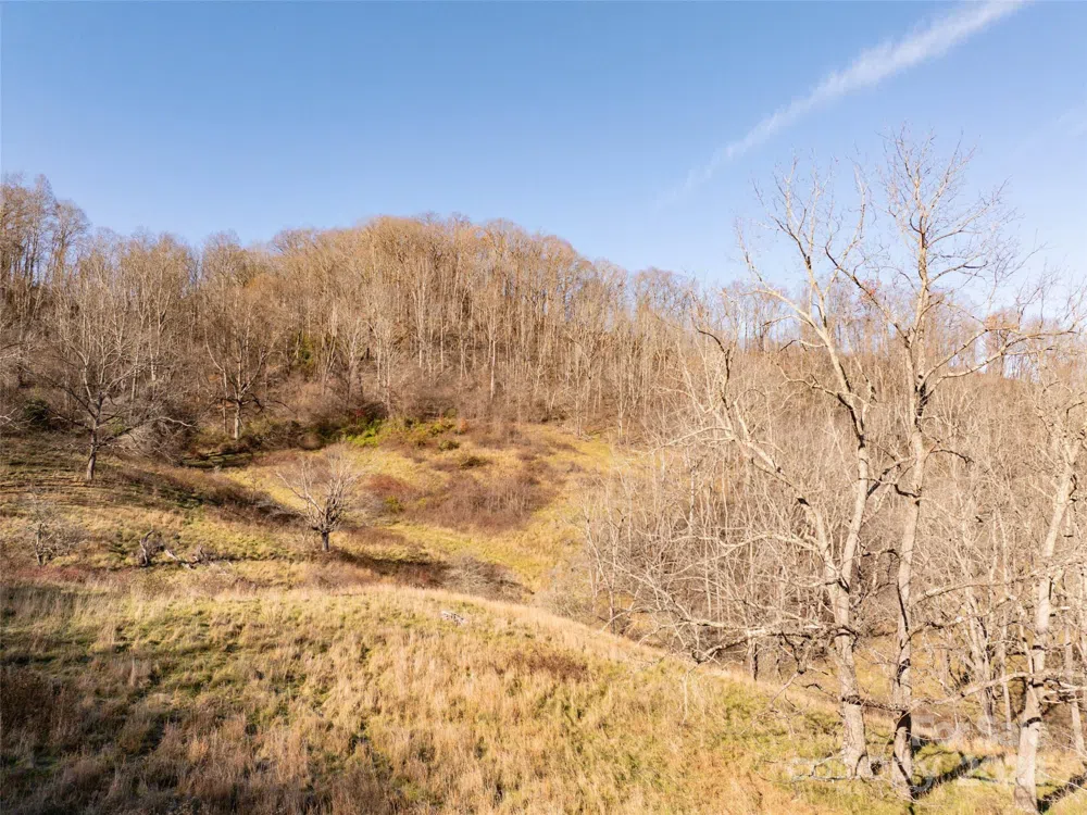 TBD Belmont Drive Clyde, NC 28721