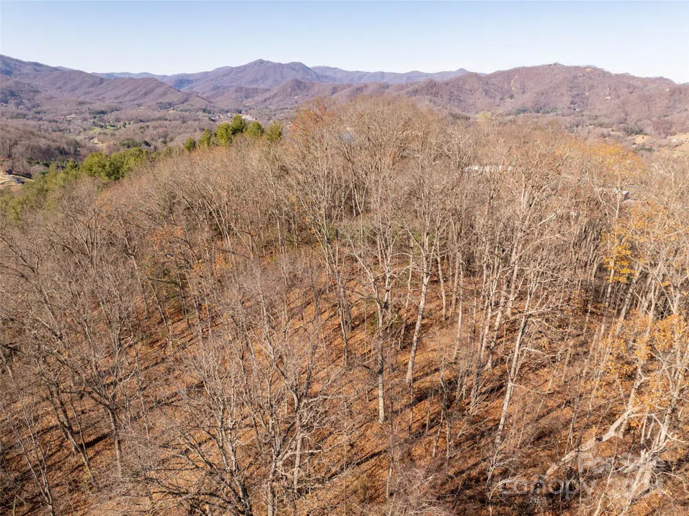 TBD Belmont Drive Clyde, NC 28721