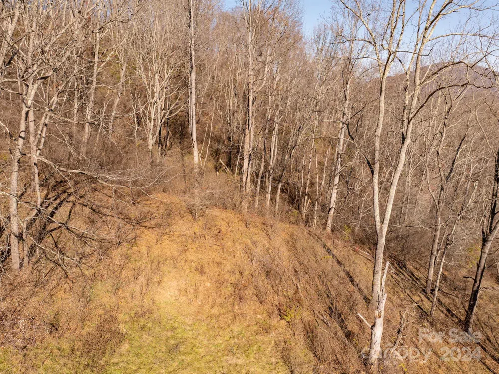 TBD Belmont Drive Clyde, NC 28721