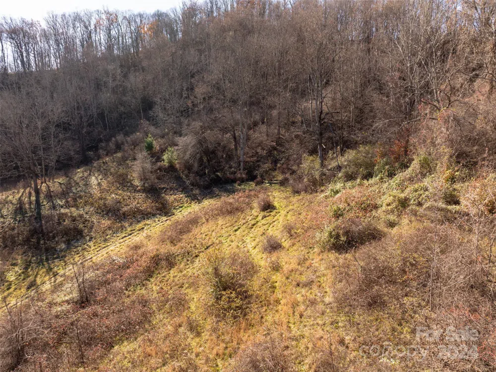 TBD Belmont Drive Clyde, NC 28721