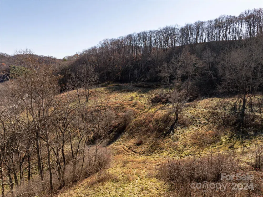 TBD Belmont Drive Clyde, NC 28721