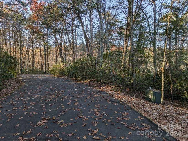 Lot 59 & 60 Willow Lane Columbus, NC 28722