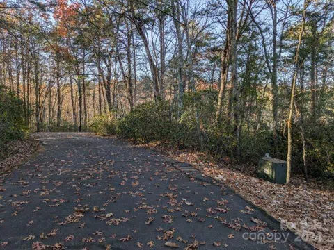 Lot 59 & 60 Willow Lane