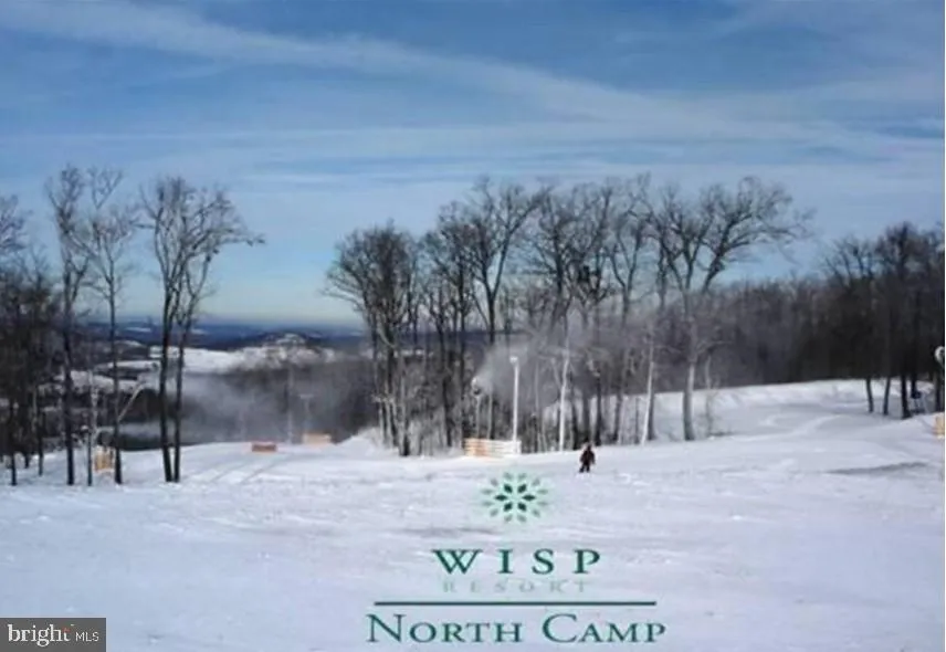 27 TREE CAMP CIRCLE Mc Henry, MD 21541