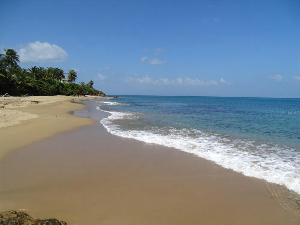 A-9 THE SANDS Vieques, PR 00765