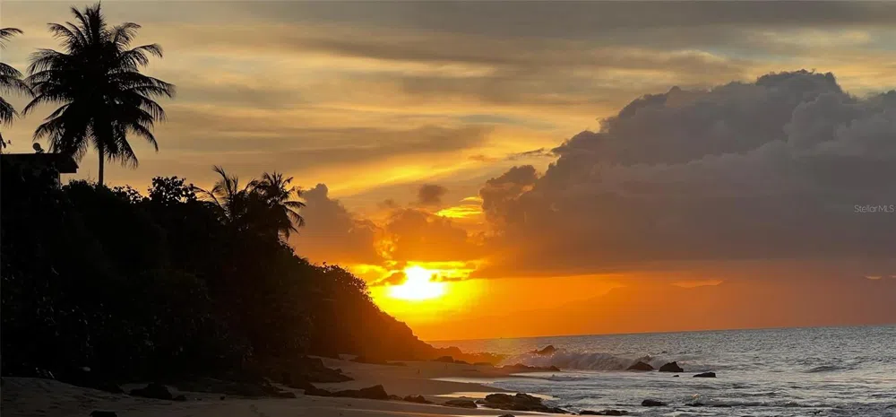 A-9 THE SANDS Vieques, PR 00765