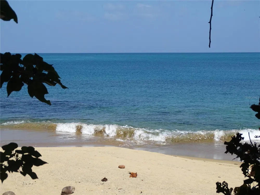 A-9 THE SANDS Vieques, PR 00765