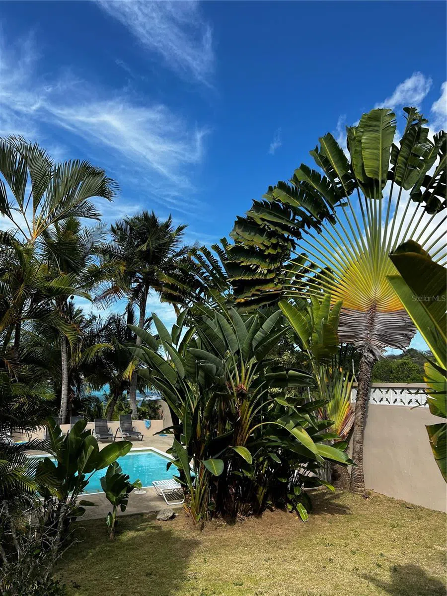 A-9 THE SANDS Vieques, PR 00765